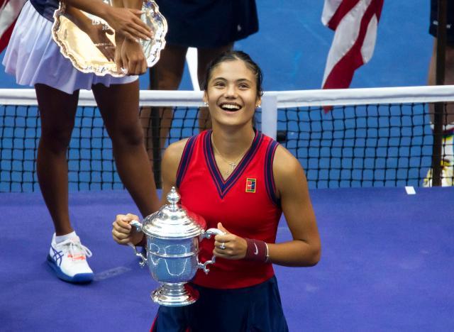 西蒙尼的职 西蒙尼的职